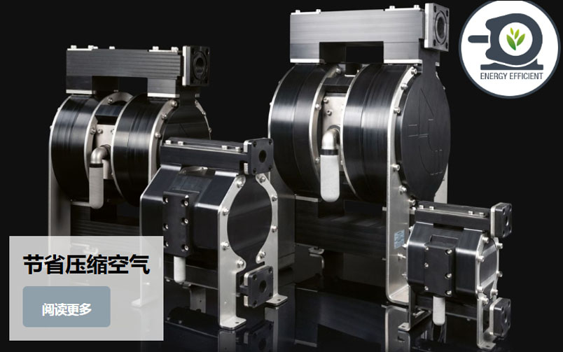 ����˫��Ĥ��